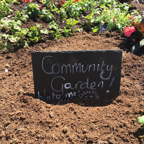Creating garden outside Coffee Cups, Thornhill Road, Hales… Flickr