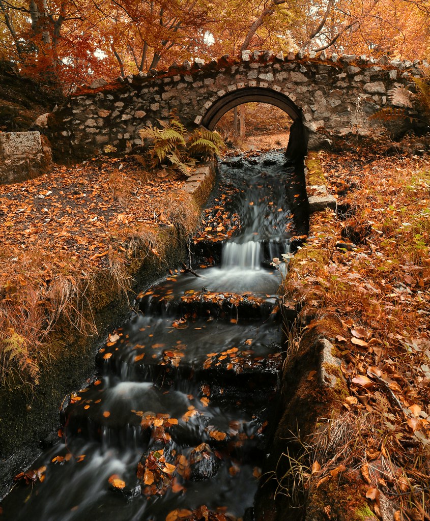 Autumn Bridge Lochside, Bridge of Don, Aberdeen PeskyMesky Flickr