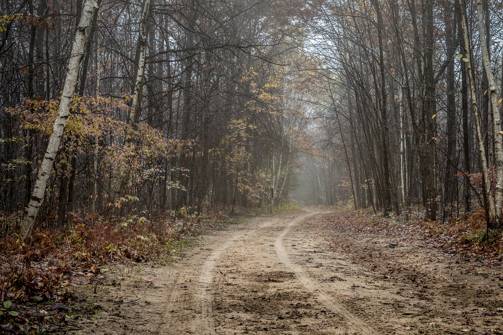 grey day Foggy, sandy, rainy trail at the City Forest. Christian