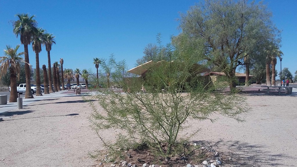 Haviland Rest Area Golden Valley, Arizona First rest area … Flickr