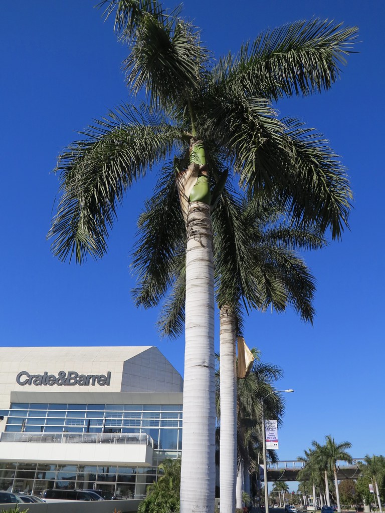 South Coast Plaza 2017 Flickr