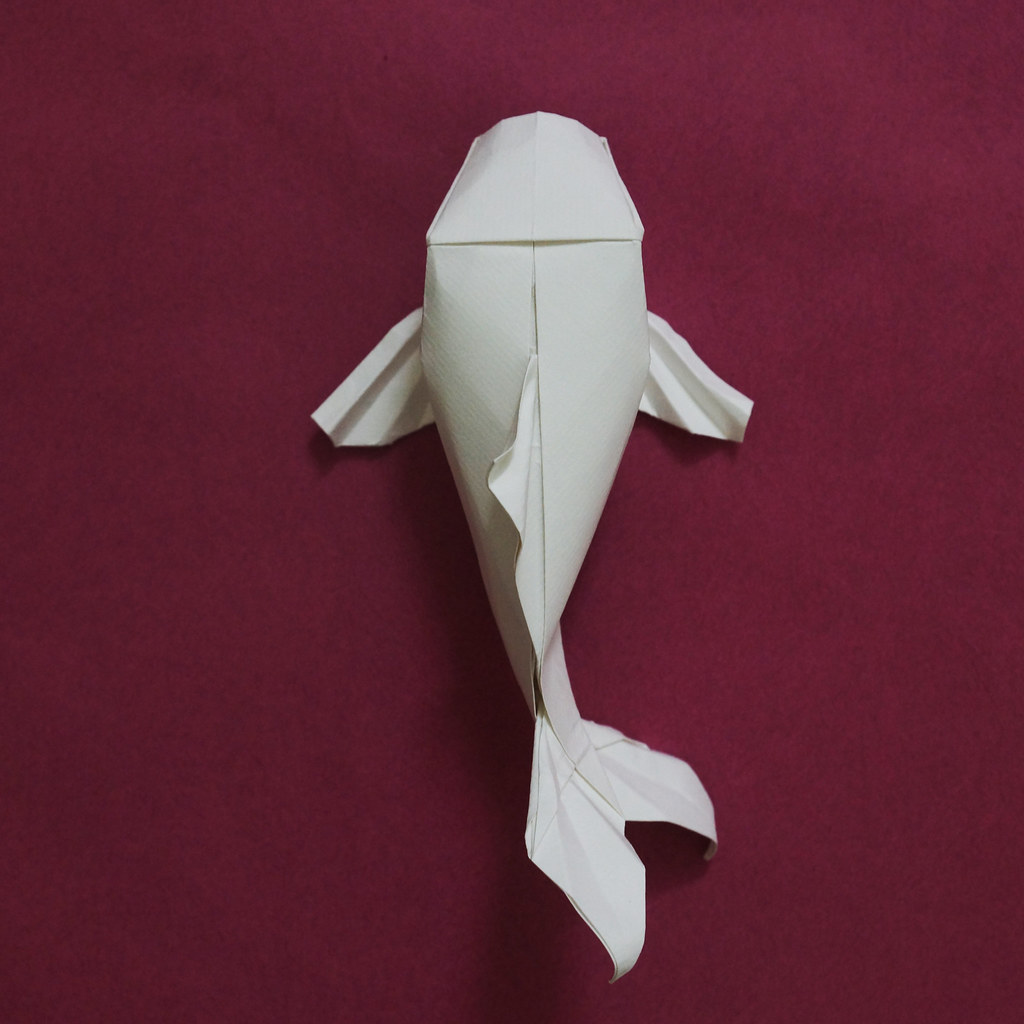 Koi fish uncut square paper origami author & folder nguye… Flickr