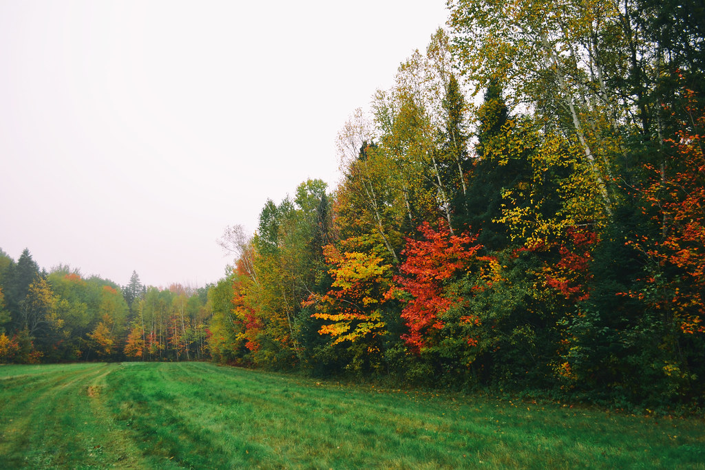 Elevation of Nickerson Township, MN, USA Topographic Map Altitude Map