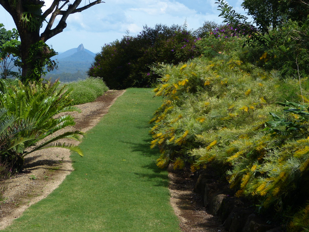 Maleny Botanic Gardens Maleny, Queensland Graham, Aussie