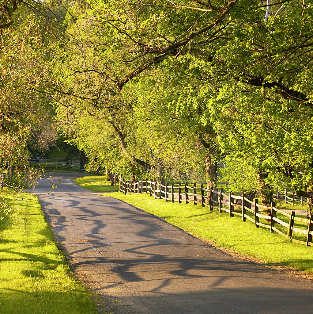 Bridgewater Road Bridgewater Road, taken with a EOS1DS Juergen