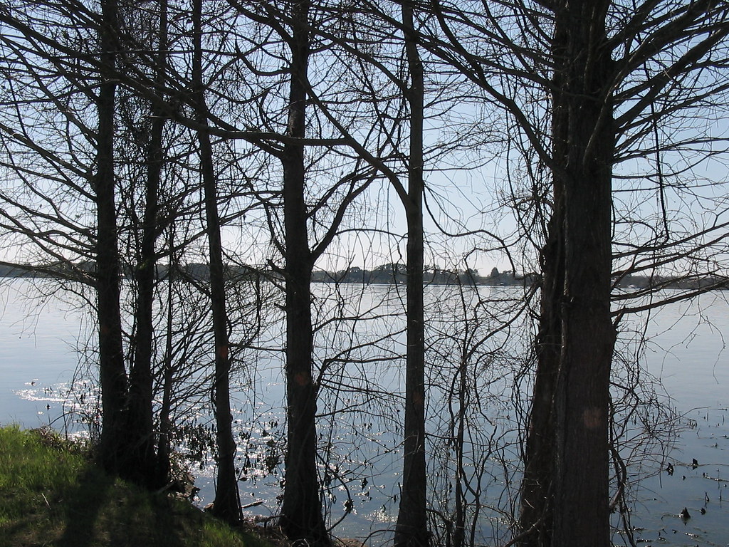 Cordele Lake Blackshear Cordele, samchamse Flickr