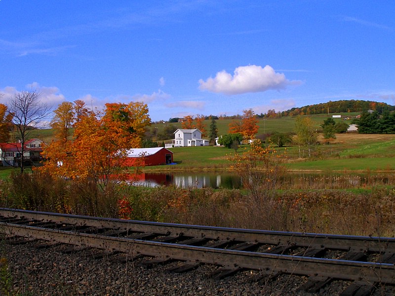 Elevation of Colesville Rd, Harpursville, NY, USA Topographic Map