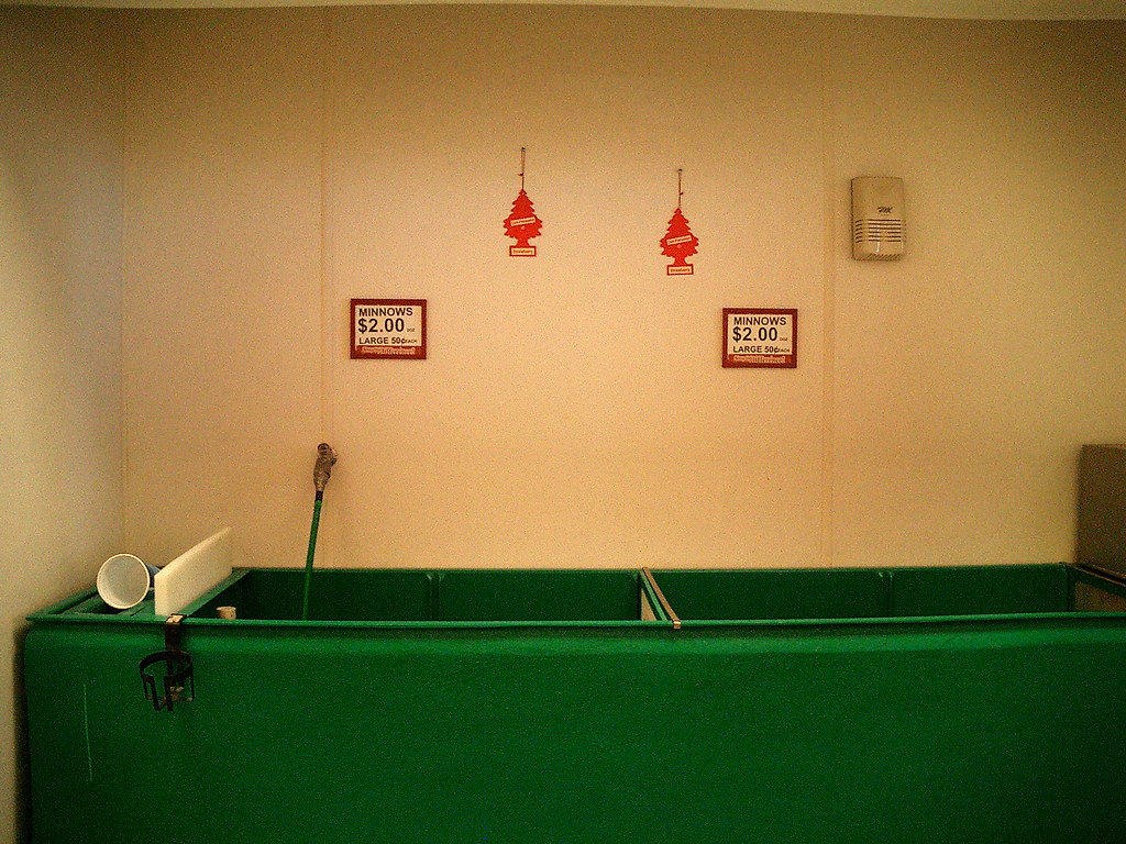 Minnows for 2 Gas station in St. Ignace, MI. Naoko Takano Flickr