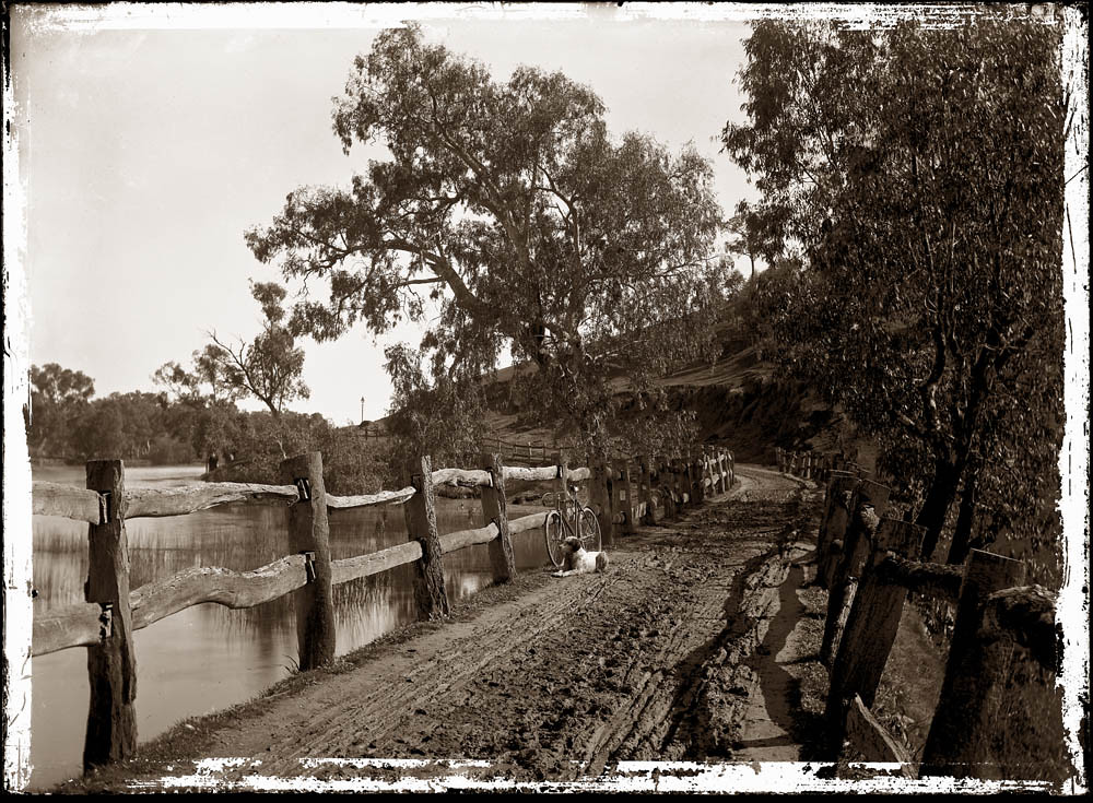 Doctors Point Road Albury NSW 1900s Old Photo From glass n… Flickr
