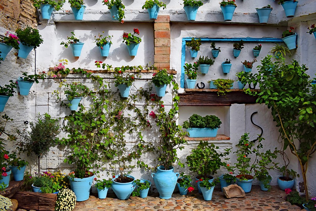 Patio Cordobes Barrio San Basilio, Cordoba Jocelyn ErskineKellie