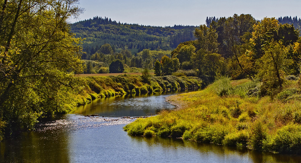 The Chehalis River in Autumn Located in Western Washington… Flickr