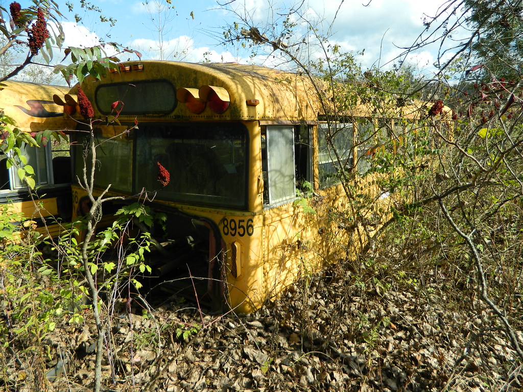 exJofaz Transportation 8956 exxPupil Transportation Syst… Flickr