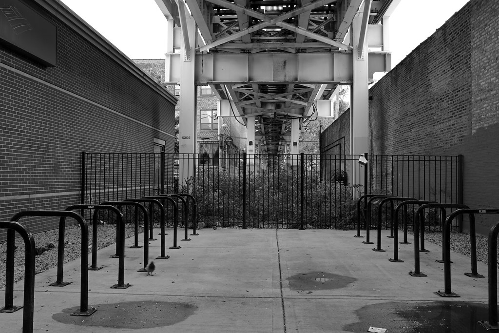 Pilsen Chicago 15 Oct 2017 5DS 158FLKR444 Flickr