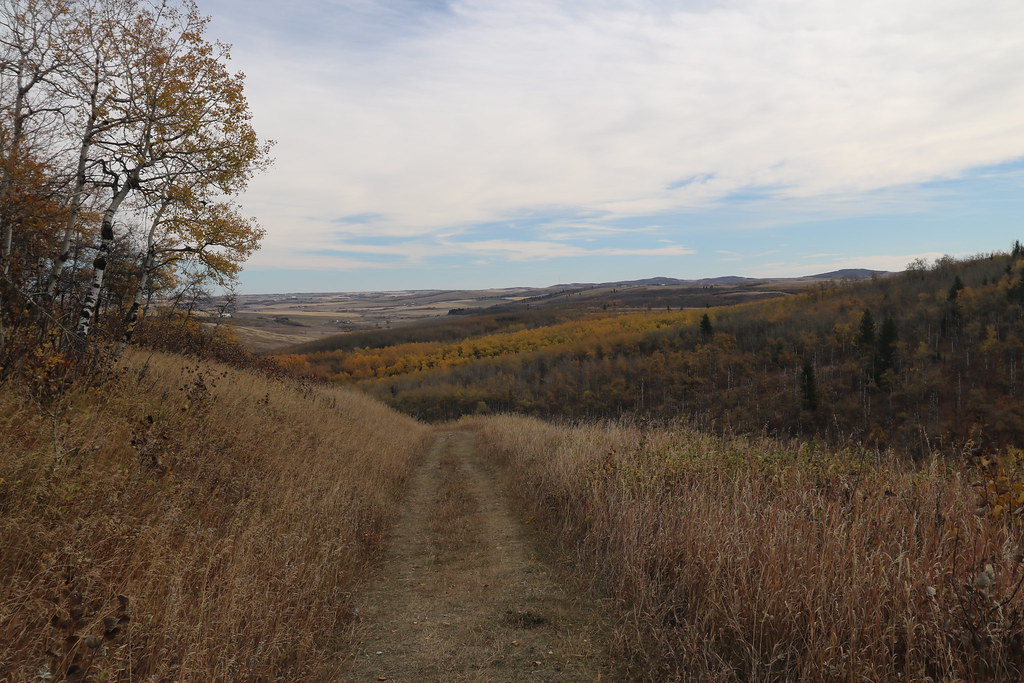 Ann and Sandy Cross Conservation area Calgary First off a … Flickr