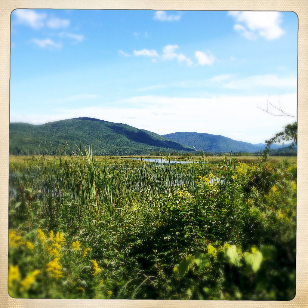 Bristol Pond * a m e l i a * Flickr