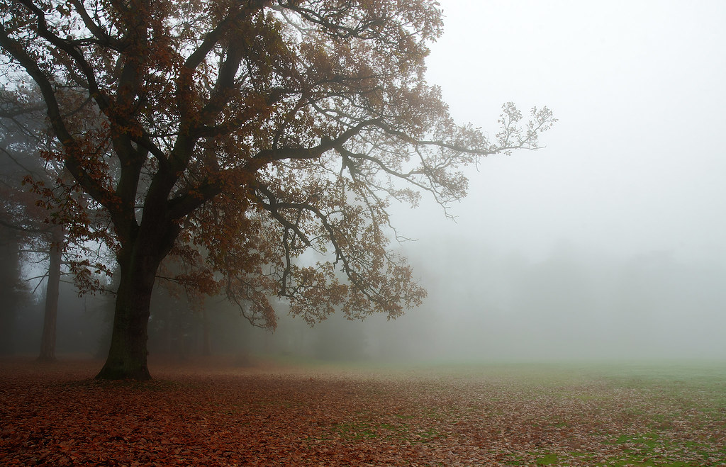 Elevation of Davenham, UK Topographic Map Altitude Map