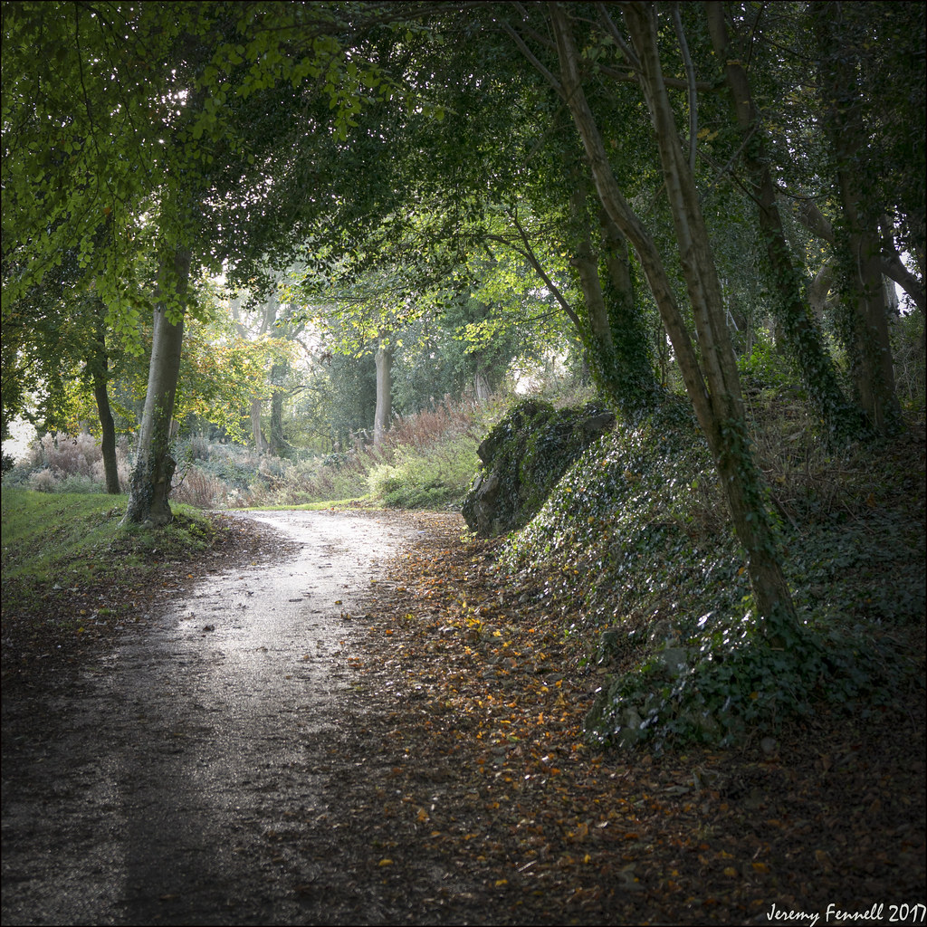 Clifton Down Jeremy Fennell Flickr