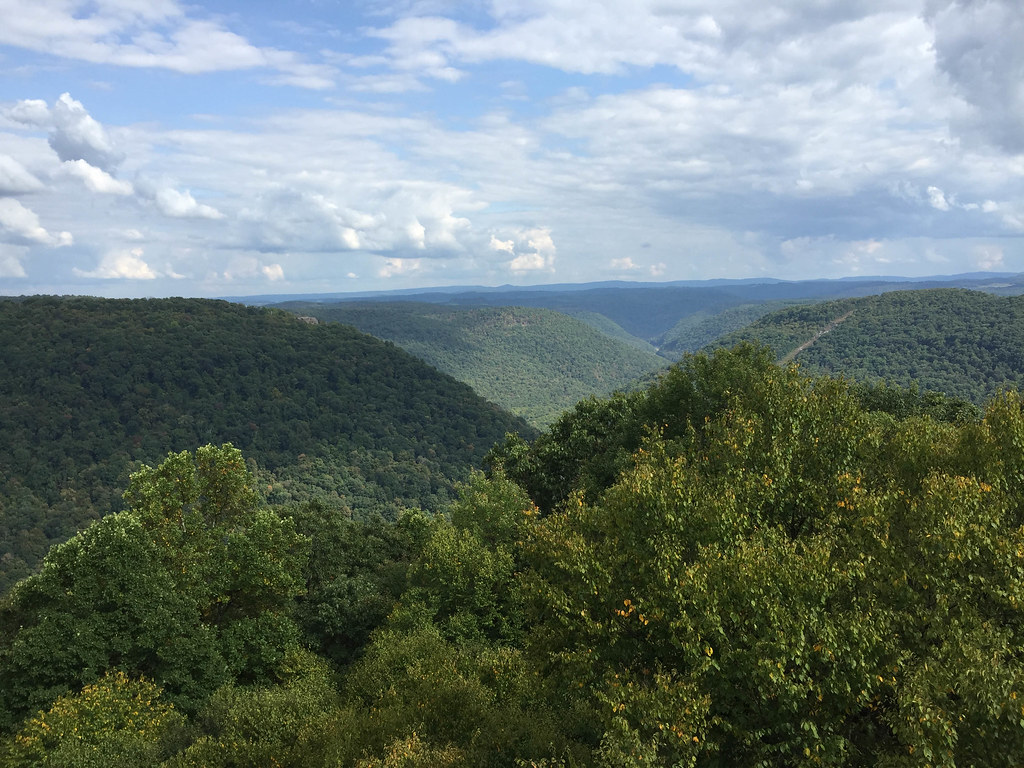 Elevation of O Rd, Reedsville, WV, USA Topographic Map Altitude Map