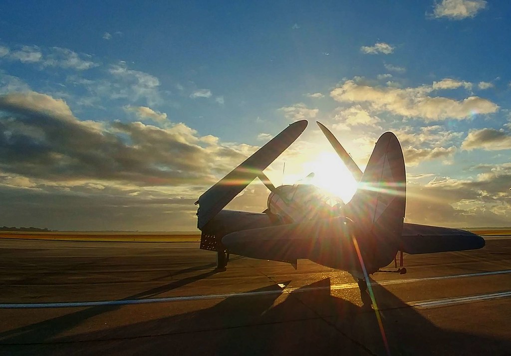 10212017 Wings of Houston. From LG5. AiShots malmphotography Flickr