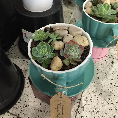 ⬅️order now Share,Like or Com… Flickr