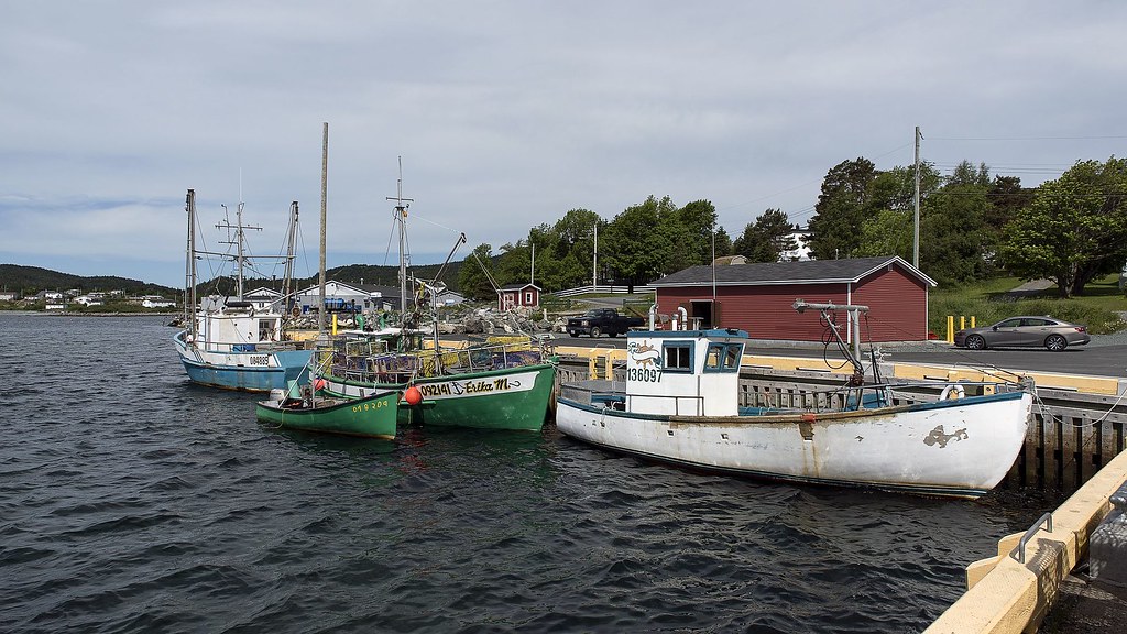 D81_3472 Cape Broyle, 20170707, Newfoundland en Labrador… Flickr