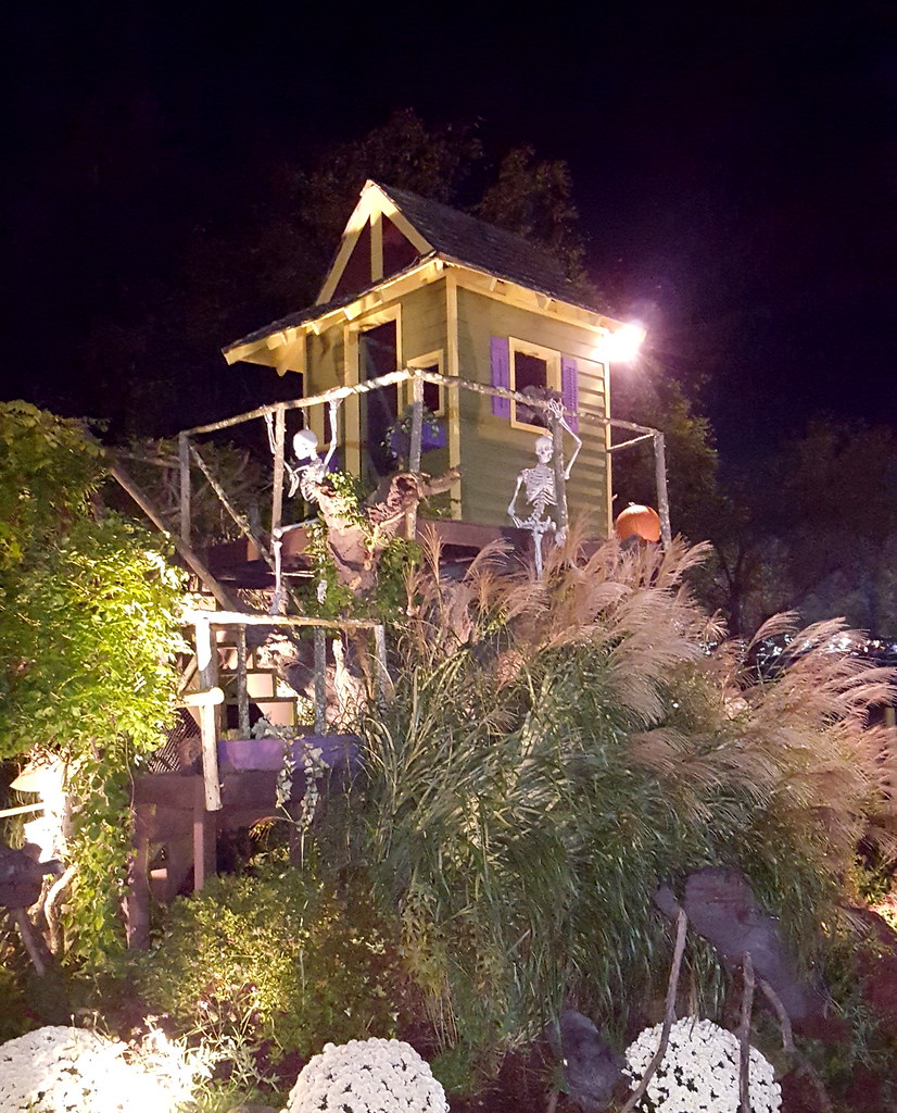 One of the Many One of the many cool Halloween houses they… Flickr