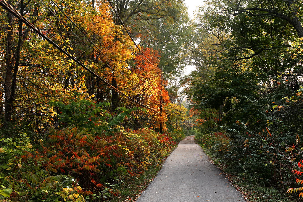 Michigan fall B2B bike trail, somewhere in Ypsilanti. Rantes Flickr