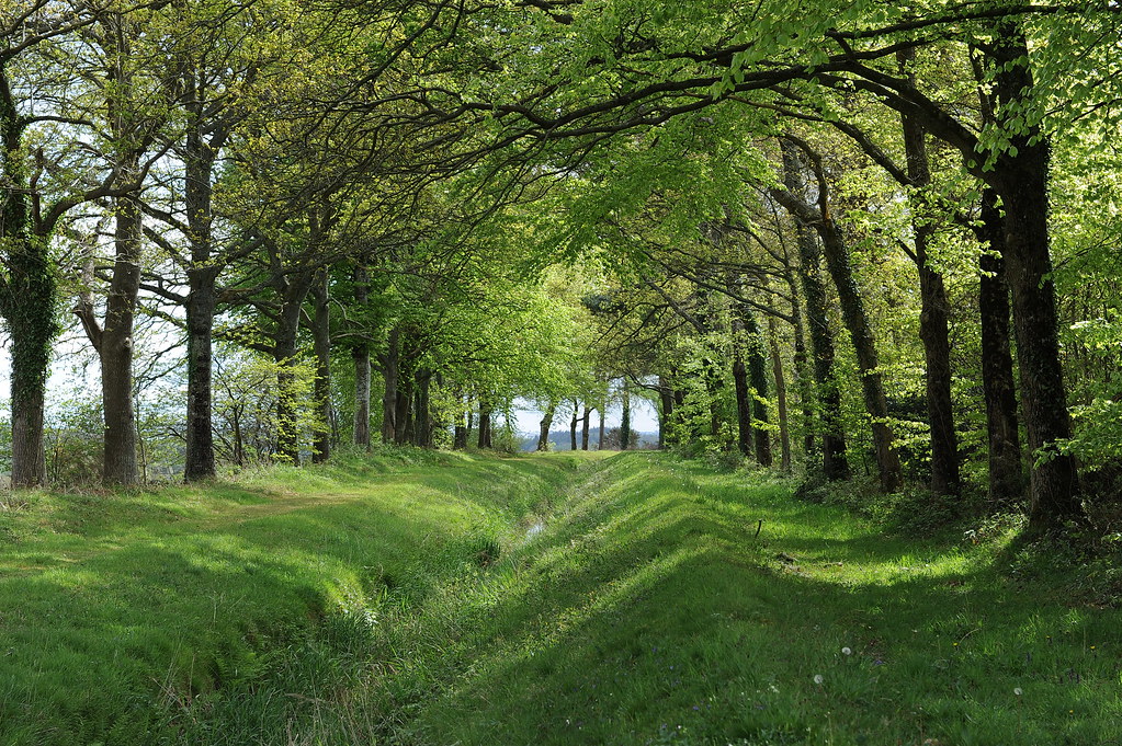 Rigole d'Hilvern Office de tourisme de Pontivy Communauté Flickr