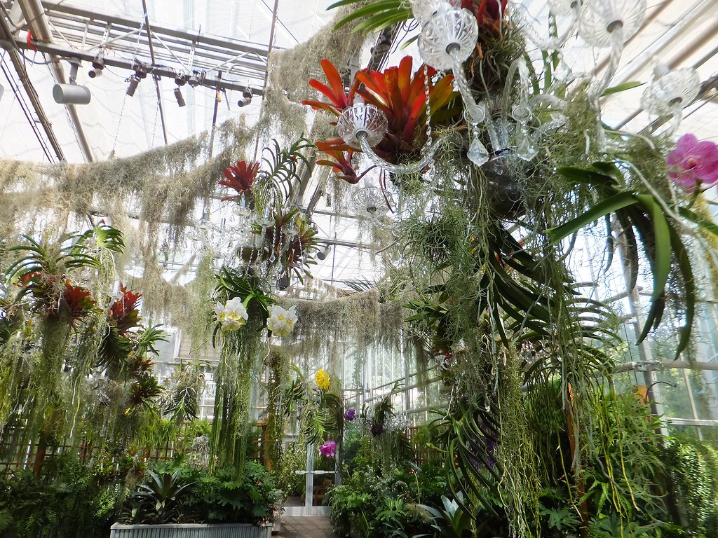 Atlanta Botanical Gardens The Orchid house BeefyBrian Flickr