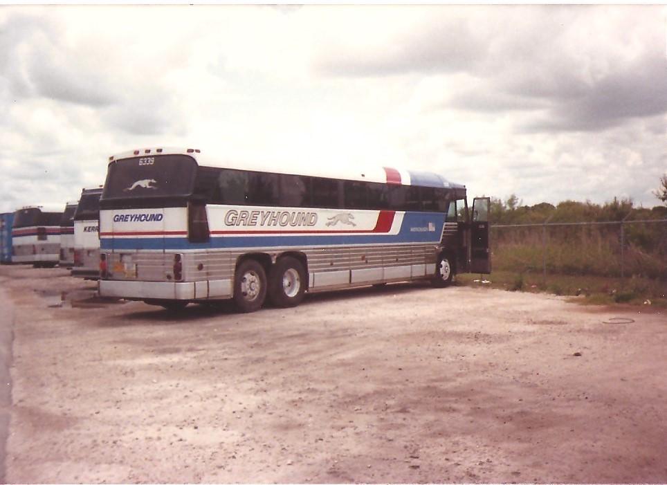 Greyhound 6339 MCI Austin,TX. Photo Tom Langford Fred Reutzel Flickr