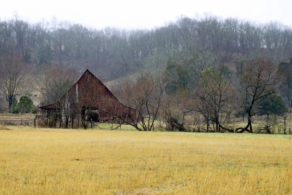 Rainy Winter Day On The Farm Lawrence County, Tennessee Flickr