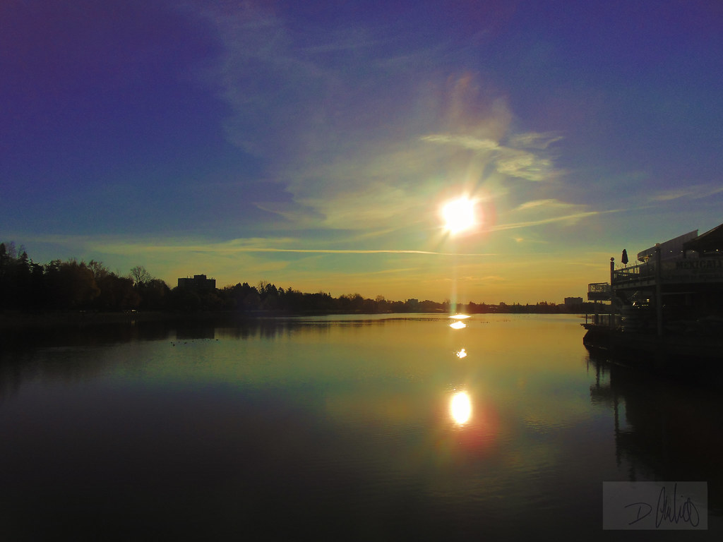 dows lake dows lake, on a perfect day danaubie Flickr