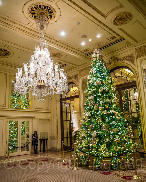 The Plaza Hotel Christmas Tree, Midtown Manhattan, New York City a