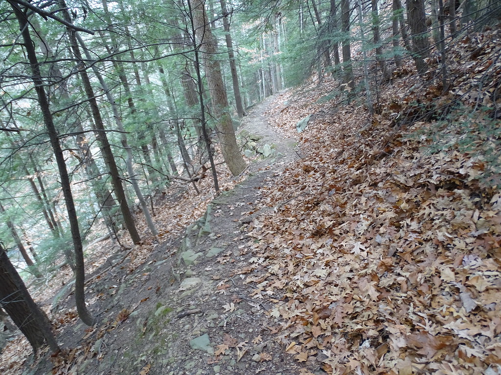 Woodlands of Bedford Geology Hike 12917 Flickr