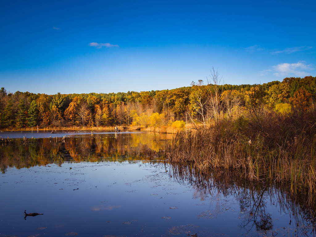 Indian Joe's Pickerel Lake County Park, also known as the … Flickr