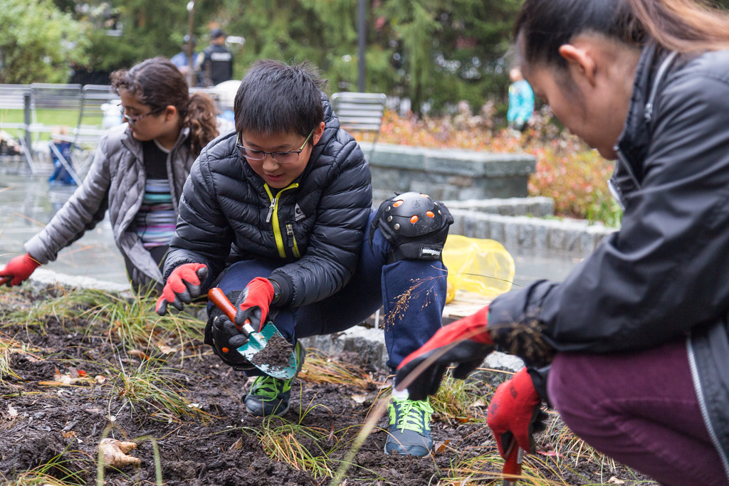 _MG_1880 Western Grove Urban Park 2017. Photo by Marilyn S… Flickr