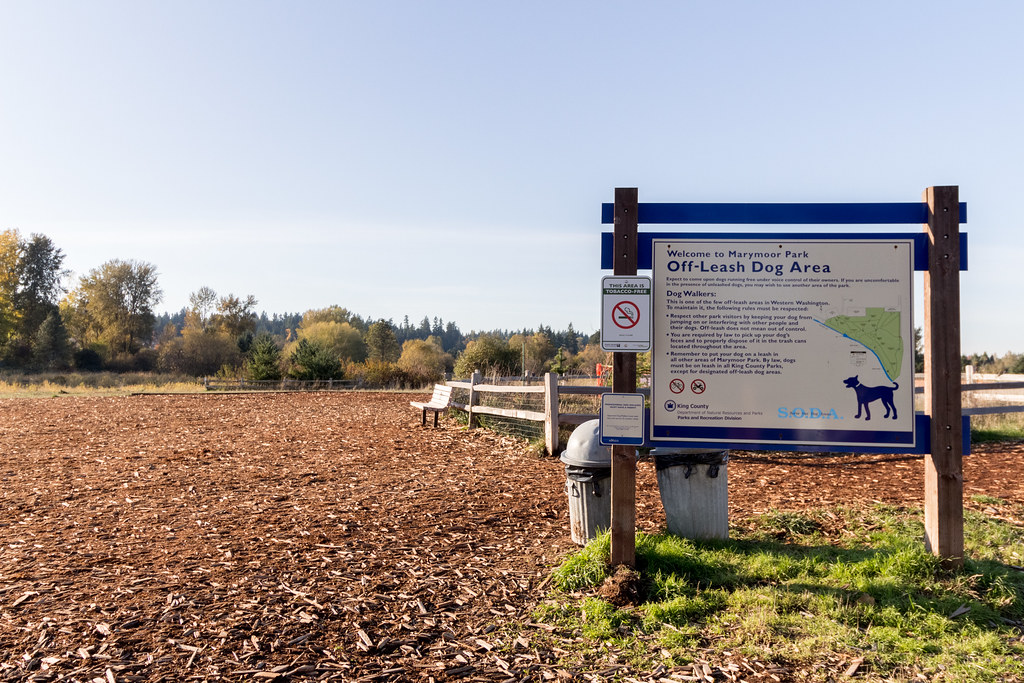 Off Leash Dog Park Area at Marymoor Cindy Shebley Flickr