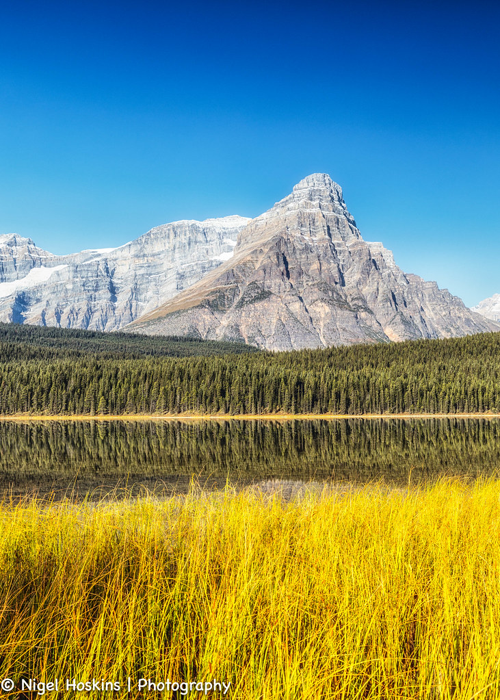 Wildfowl Lakes Wildfowl Lakes Nigel Hoskins Flickr