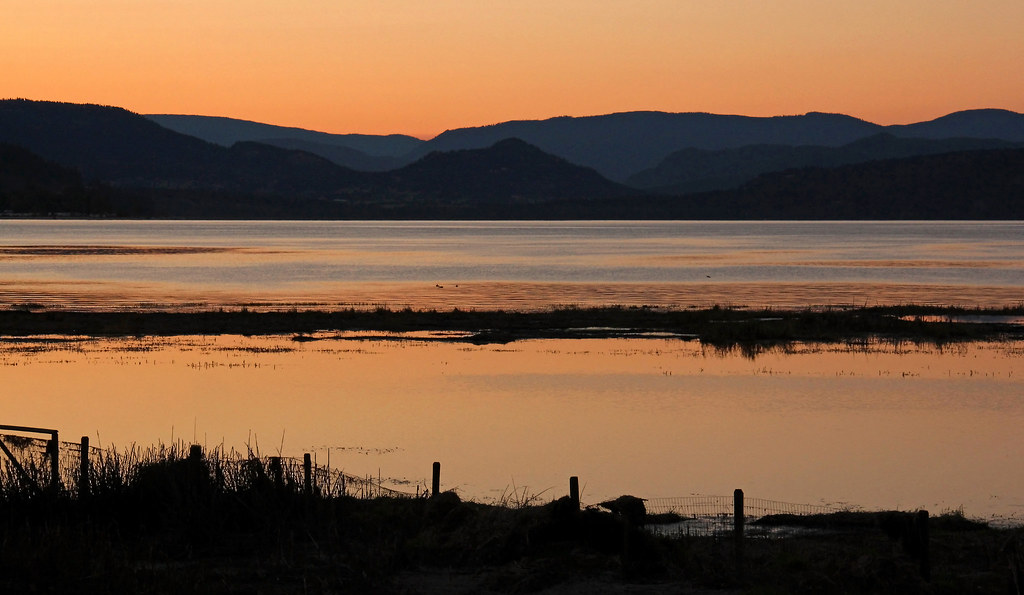 Copper skies After a sultry summer day the sun disappeared… Flickr