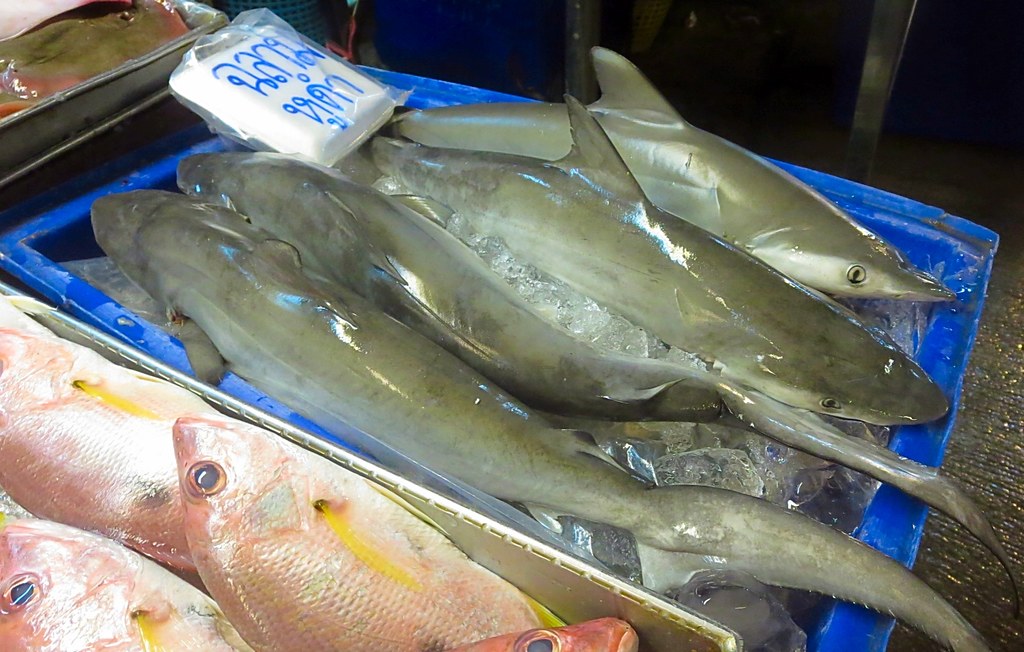 Pattaya Fish Market Naklua Road David Herd Flickr