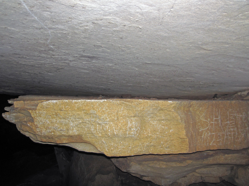 Detached limestone block (Kentucky Avenue, Mammoth Cave, K… Flickr