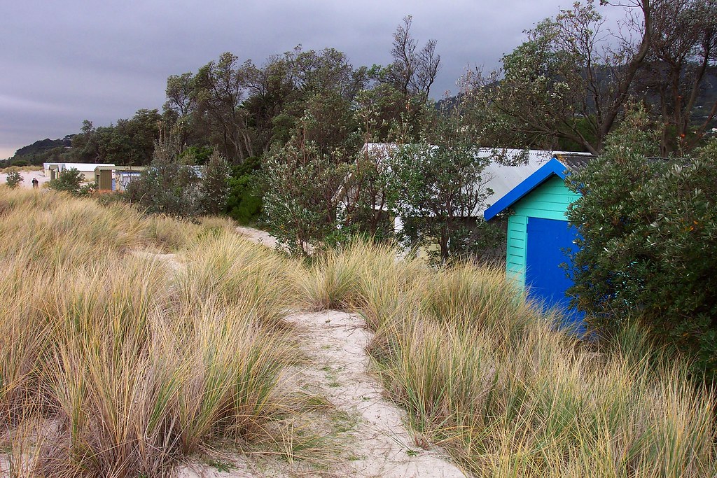 Rosebud_0115 Beach Box survey for Mornington Peninsula Shi… Flickr