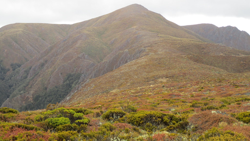 20171111143639Whakamarumaru Terry Chubb Flickr