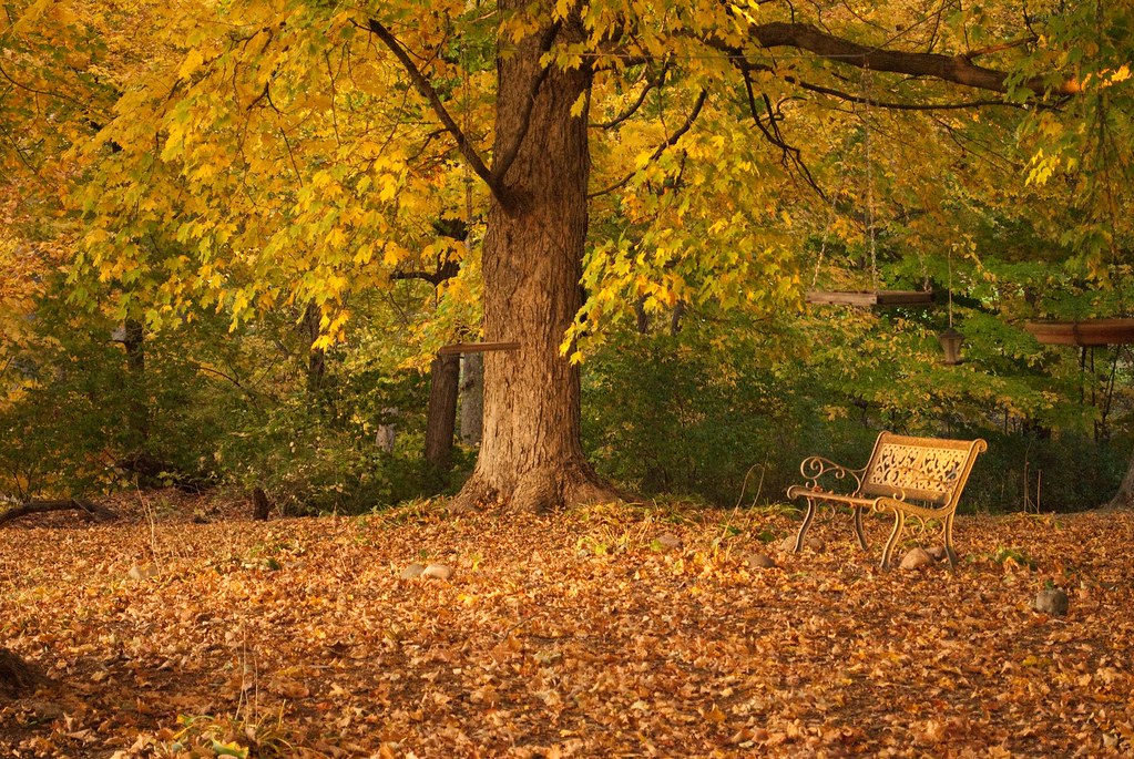 Lake Bracken Scenic 135 L Griffith Flickr