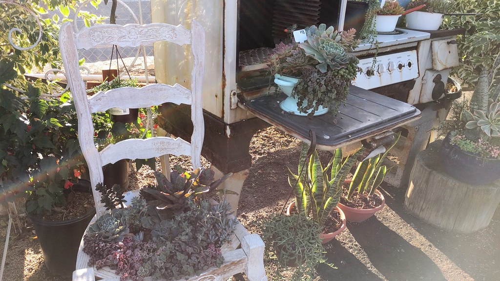 What's Cooking at Waterwise Botanicals Nursery, Bonsall, C… Flickr