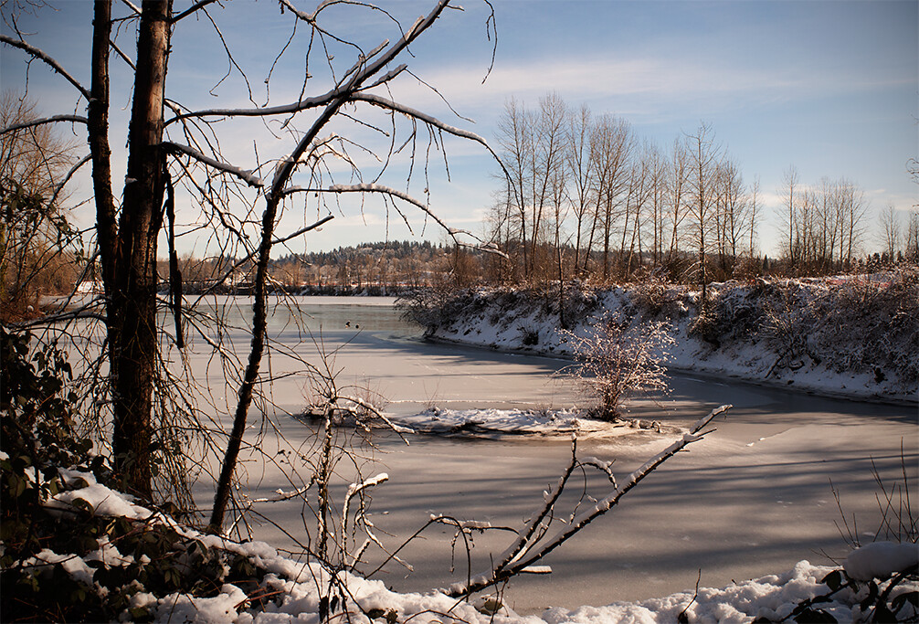 Portland Snow January 2017 Snow Storm Oregon City Joey Wiley Flickr