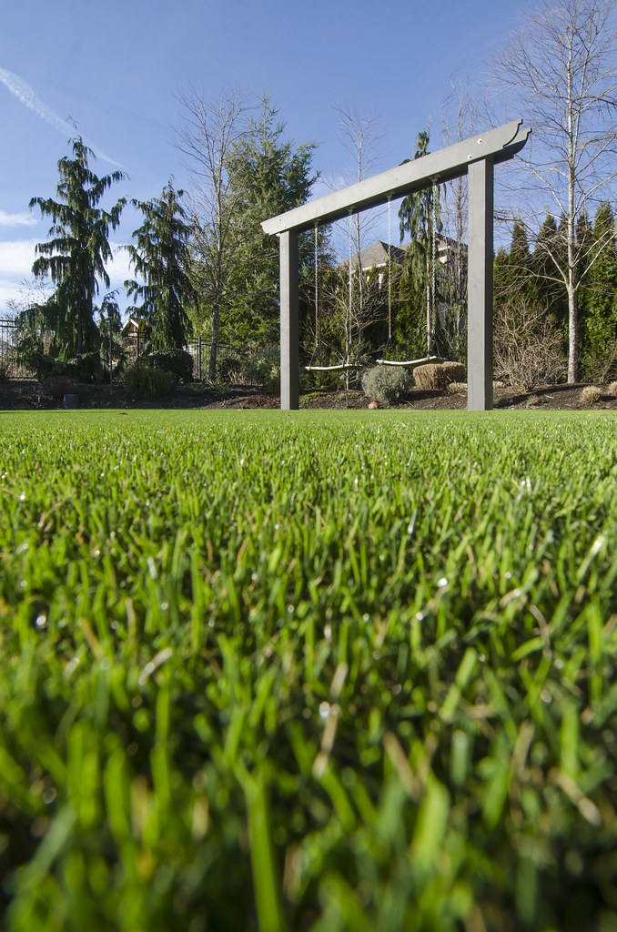 Backyard Restoration by ForeverLawn Bellevue The owners of… Flickr