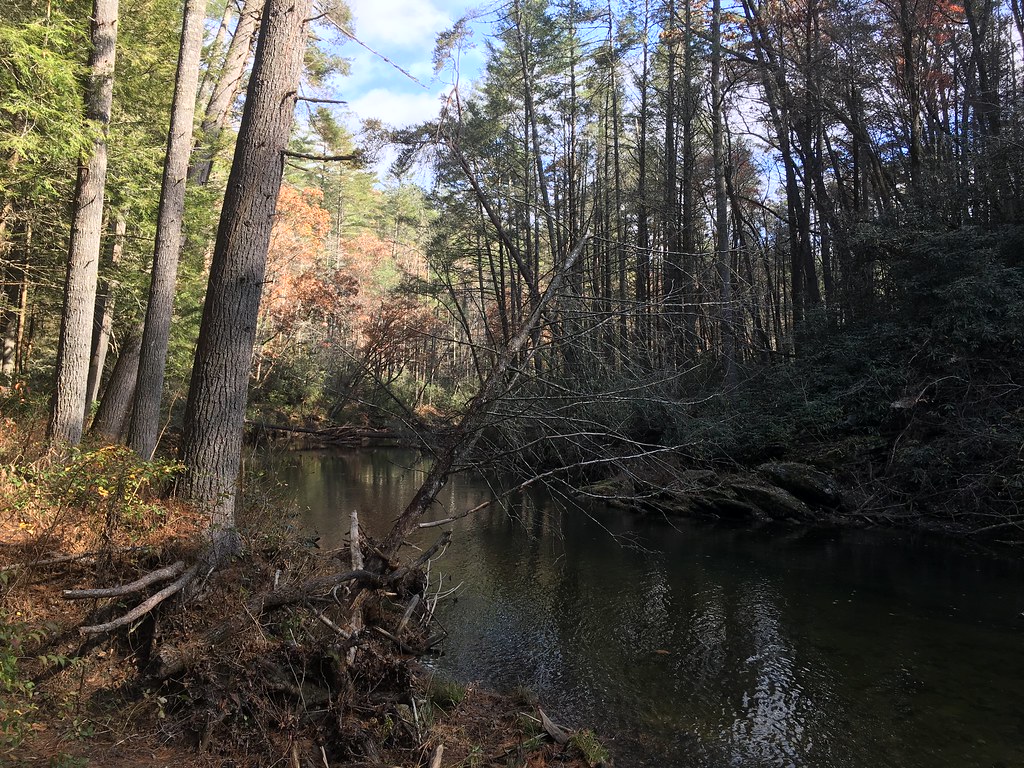 20171114FSCHFSMB00 Photo of recent trout stocking on t… Flickr
