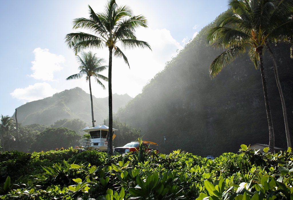 Road to Hanalei Dennis Flickr