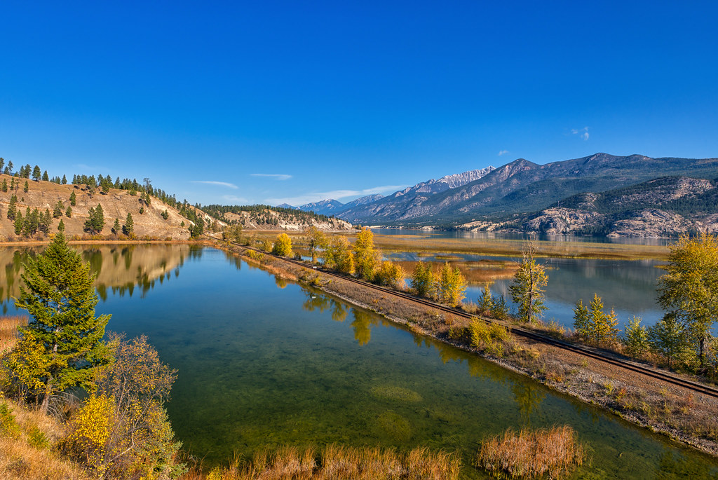 Autumn at Columbia Lake This lake is the source of the mig… Flickr